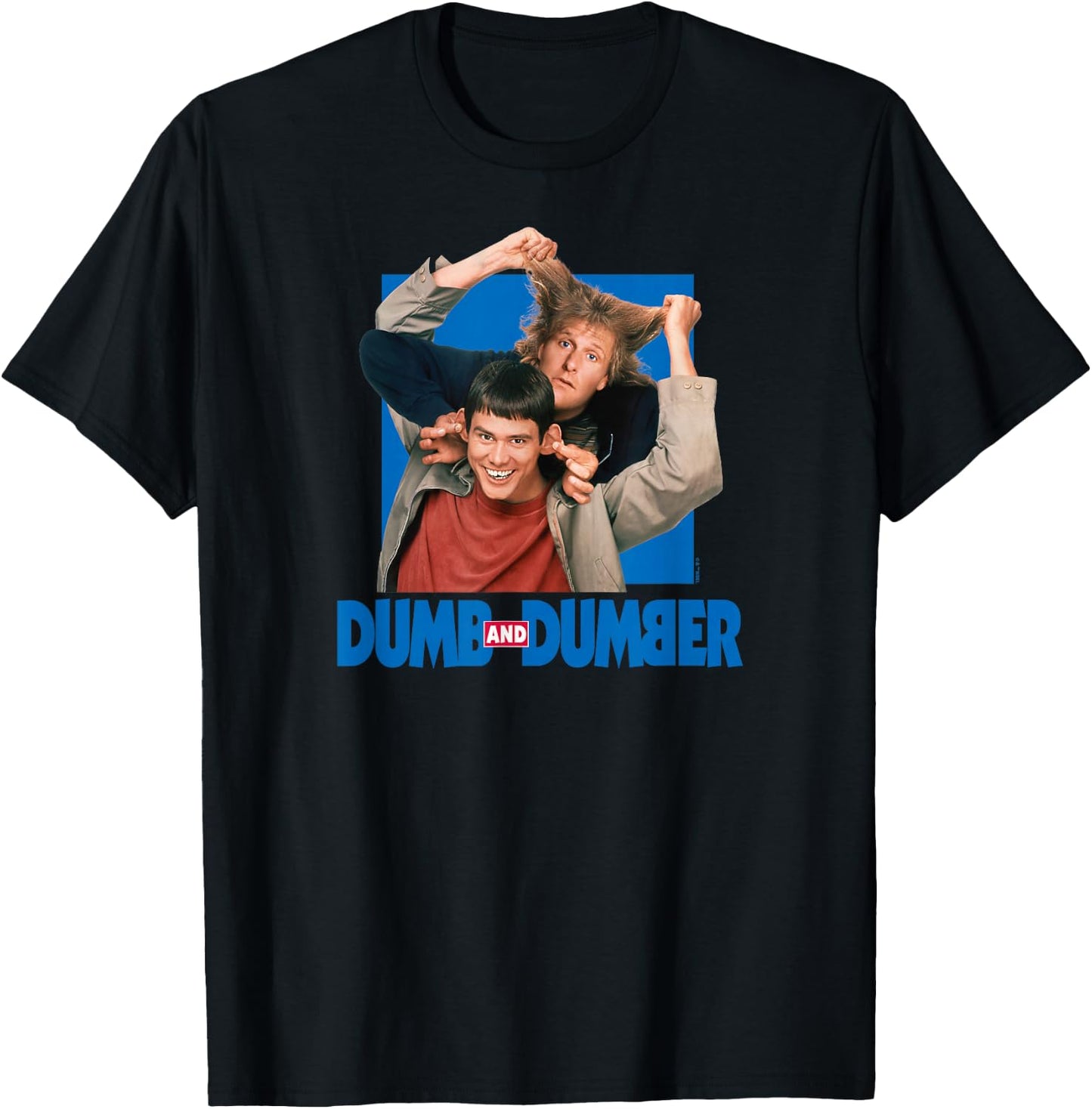 Dumb & Dumber - Lloyd Christmas and Harry Dunne Funny Duo , Small, Black T-Shirt - T-Shirt | Black