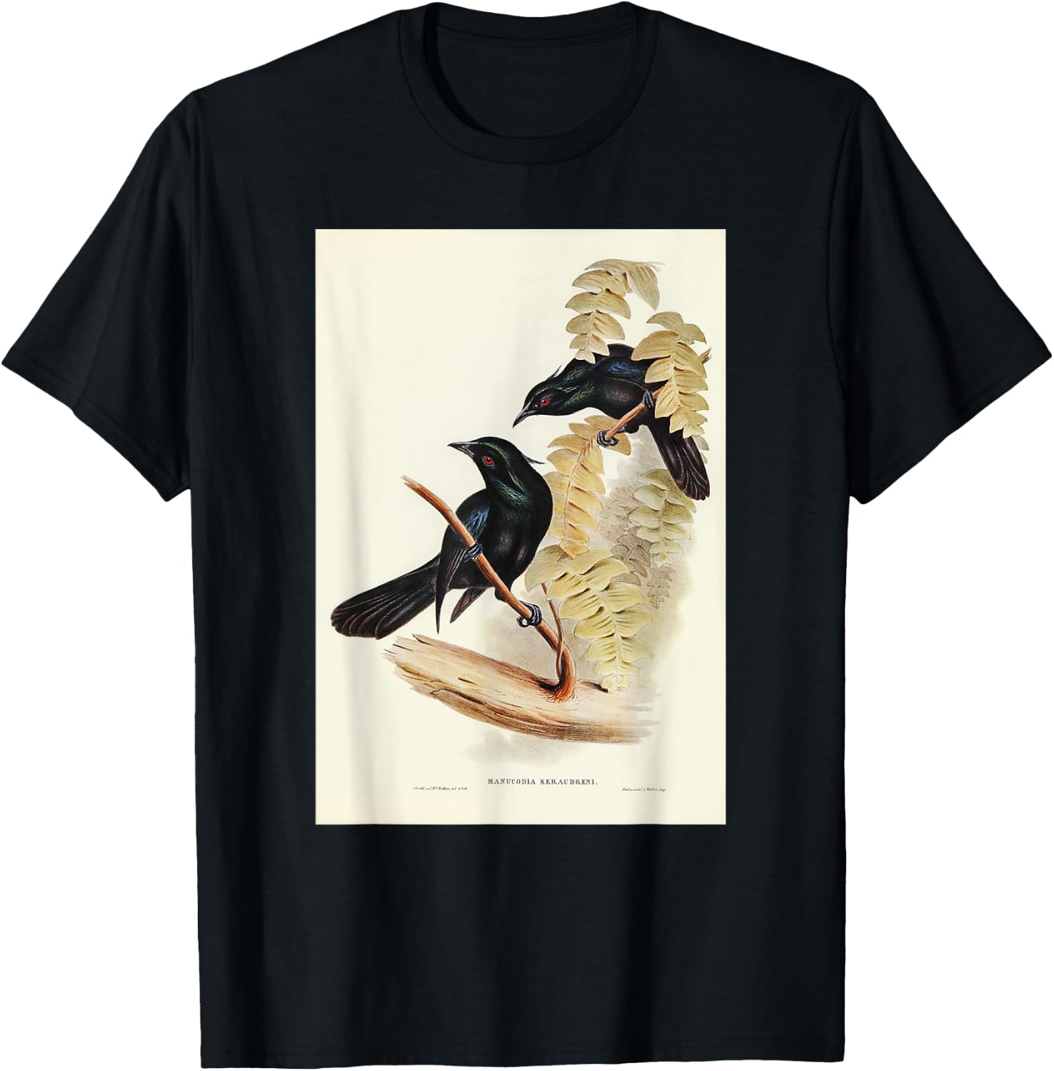 Keraudren's Crow-Shrike Birds Illustration & Women T-Shirt - T-Shirt | Black