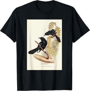 Keraudren's Crow-Shrike Birds Illustration & Women T-Shirt - T-Shirt | Black
