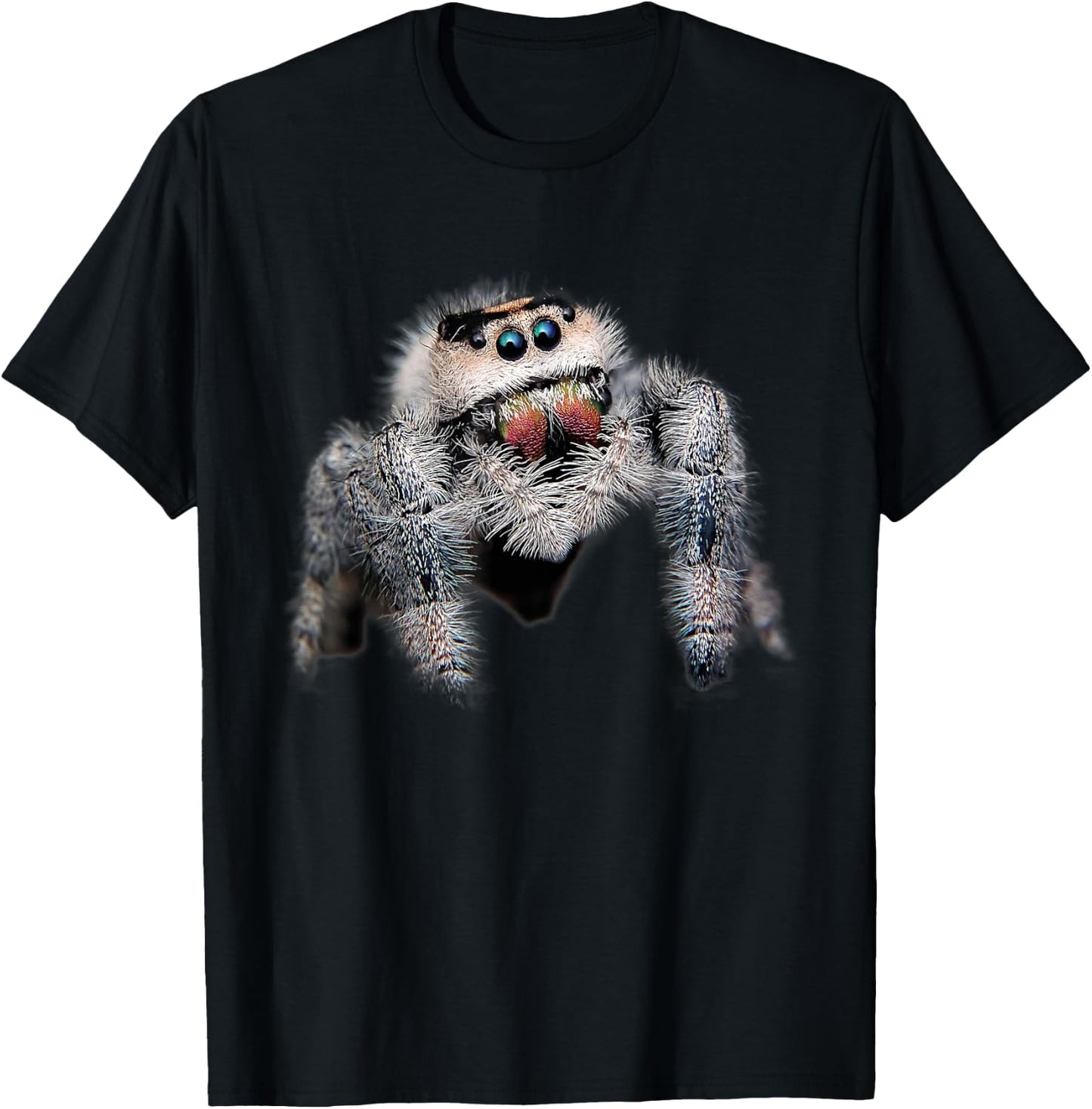 Arachnid Pet Spider Salticidae - Cute Spider T-Shirt - T-Shirt | Black