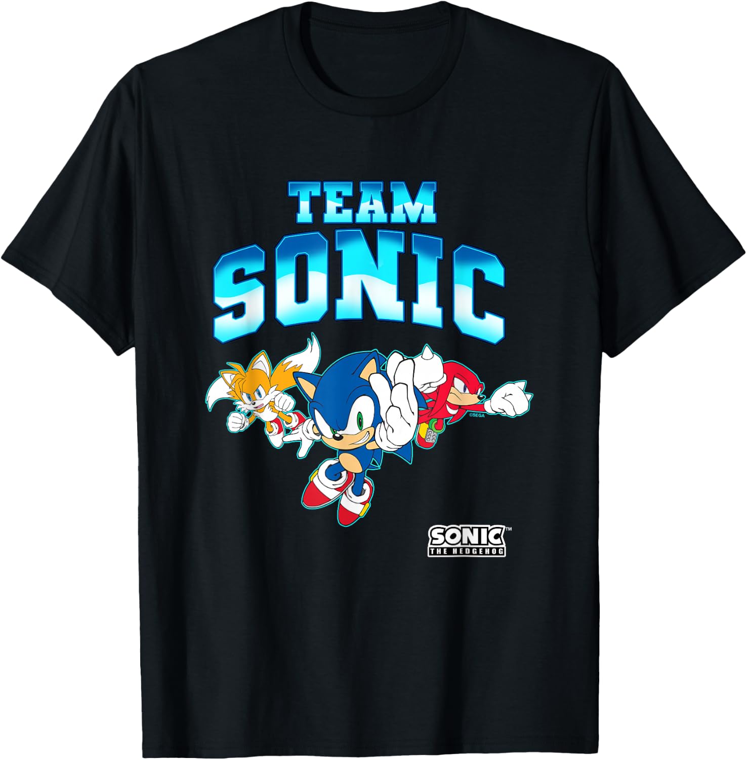 Sonic The Hedgehog Team Sonic Epic Group Shot T-Shirt - T-Shirt | Black