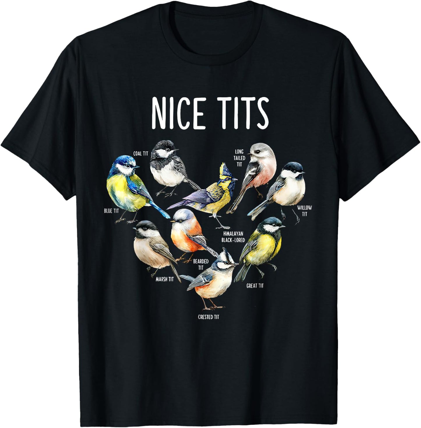 Retro Funny Nice Tits Birds Birdwatcher Bird Watching Humor T-Shirt - T-Shirt | Black
