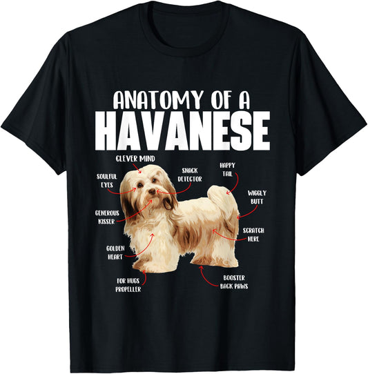 Havanese Dog Shirts Anatomy Of A Havanese - Cuban Havaneser Havanezer T-Shirt - T-Shirt | Black