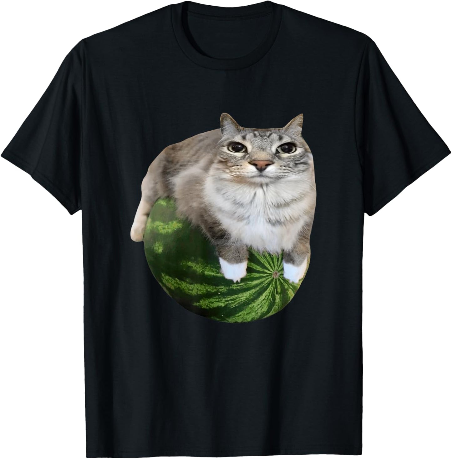 Watermelon Cat Silly Cat Meme T-Shirt - T-Shirt | Black