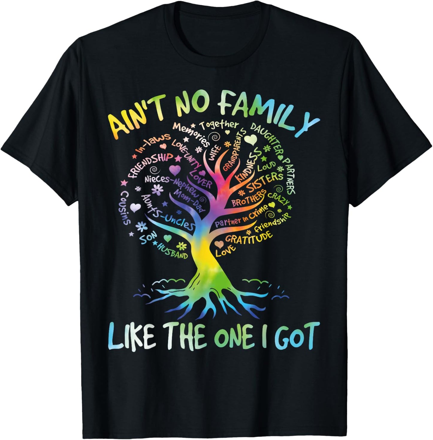 Ain't No Family Like The One I Got Matching Family Reunion T-Shirt - T-Shirt | Black