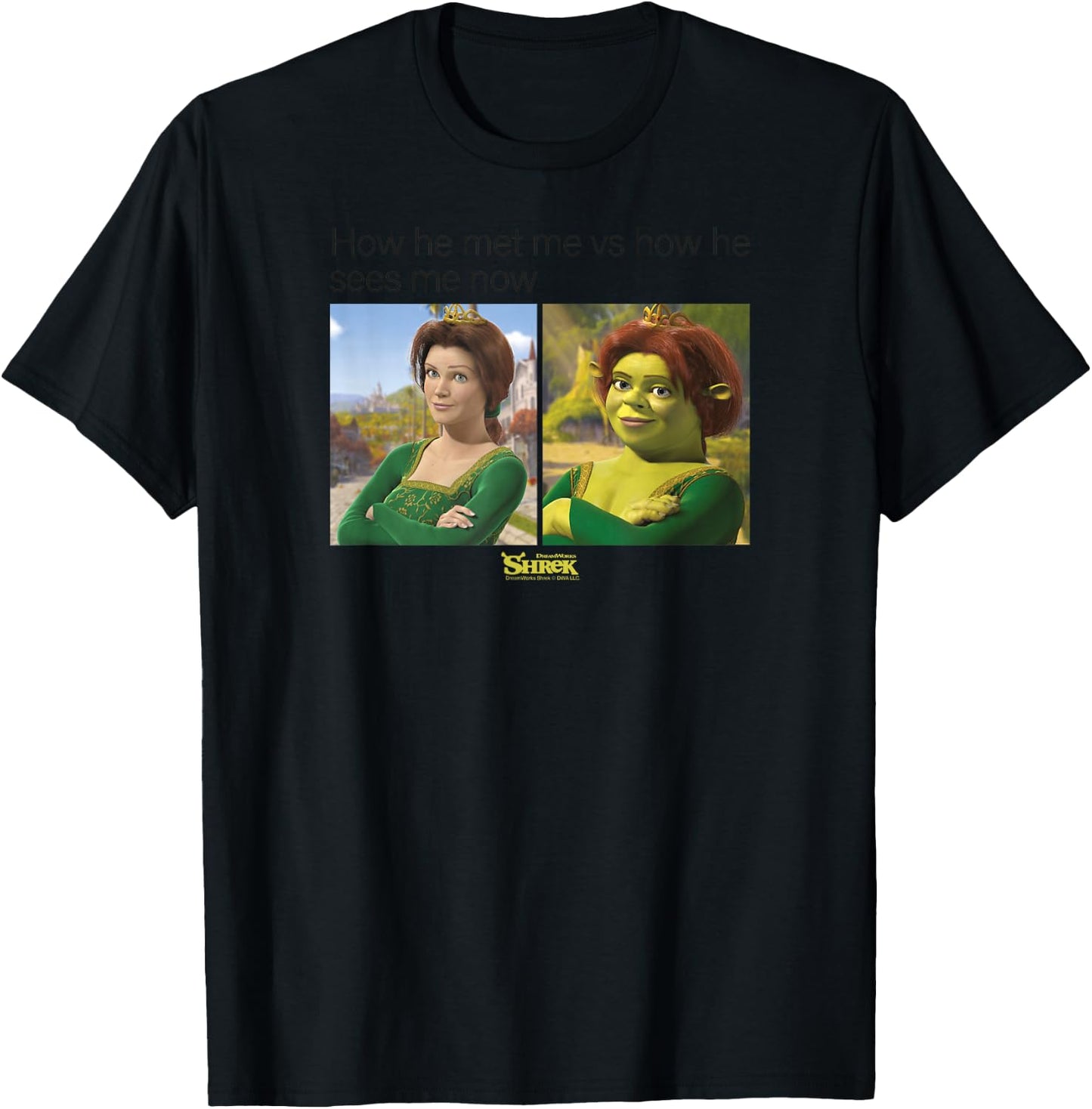Shrek Princess Fiona Meme T-Shirt - T-Shirt | Black