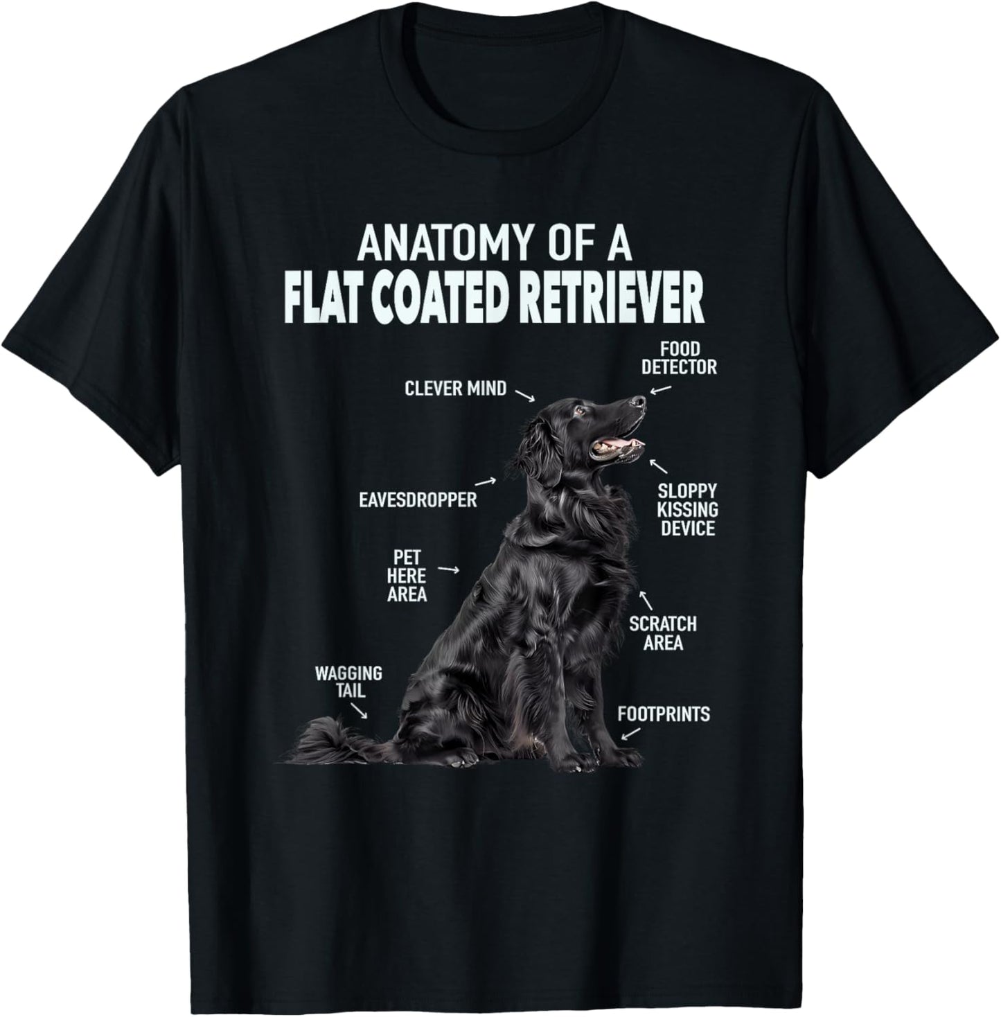 Anatomy Of A Flat Coated Retriever , Small, Black T-Shirt - T-Shirt | Black