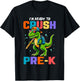 First Day Of Pre-K Shirt Boys Kids Dinosaur Back To School T-Shirt - T-Shirt | Black