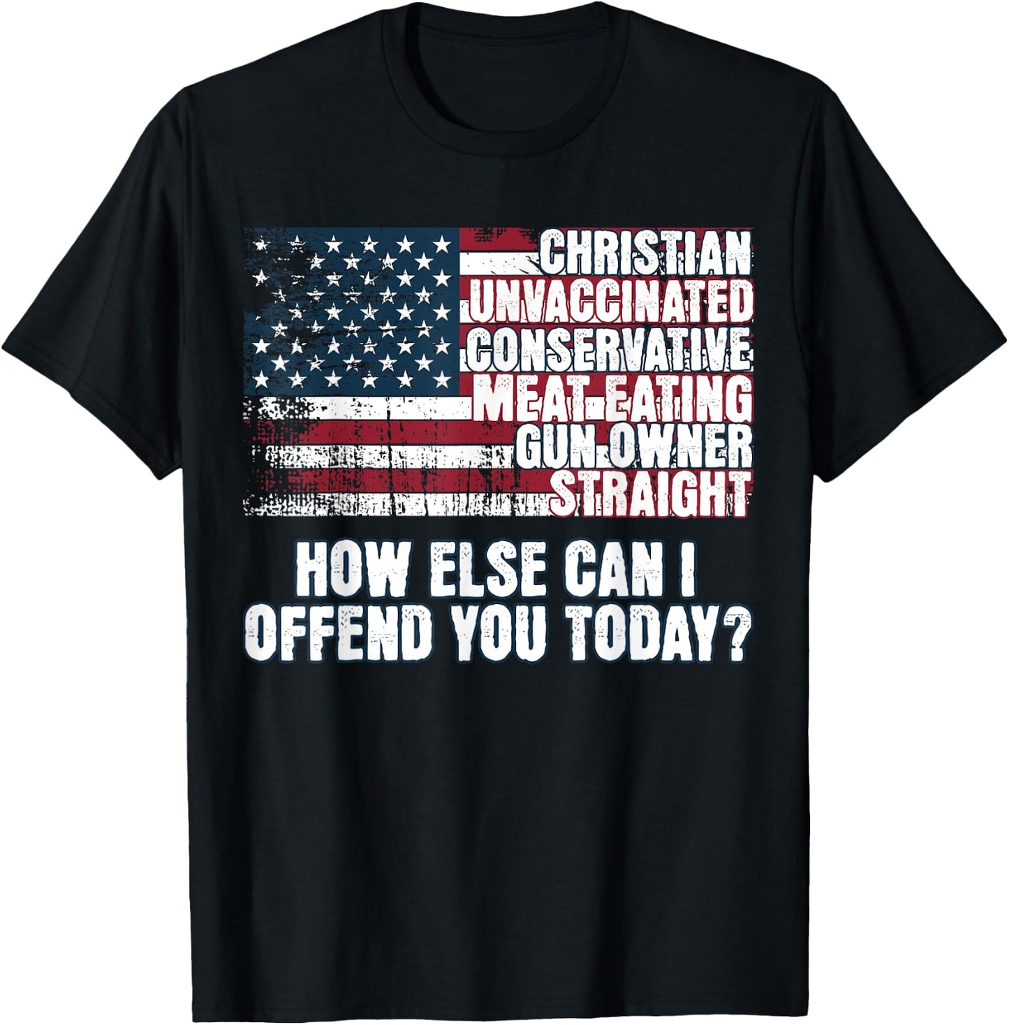 Christian Conservative... How Else Can I Offend You Today T-Shirt - T-Shirt | Black