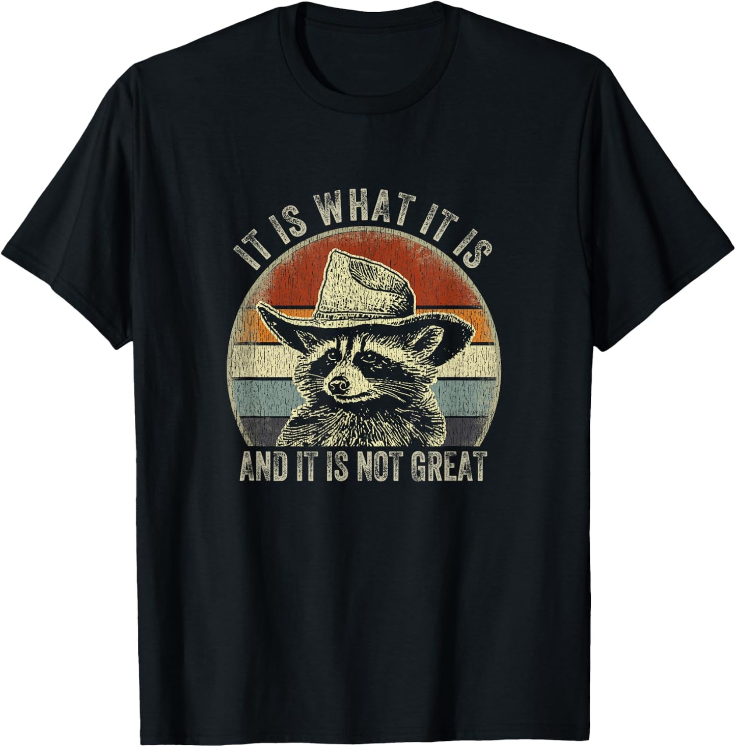 It Is What It Is And It Is Not Great Raccoon Trash Panda T-Shirt - T-Shirt | Black