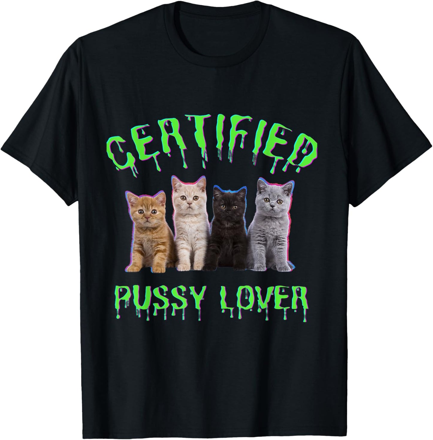 Funny Inappropriate Embarrassing Adult Humor, cat Lover T-Shirt - T-Shirt | Black
