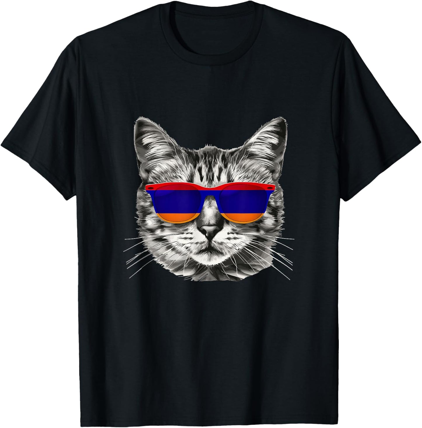 Armenian Flag Cat Owner Souvenirs Products Kitten Armenia T-Shirt - T-Shirt | Black