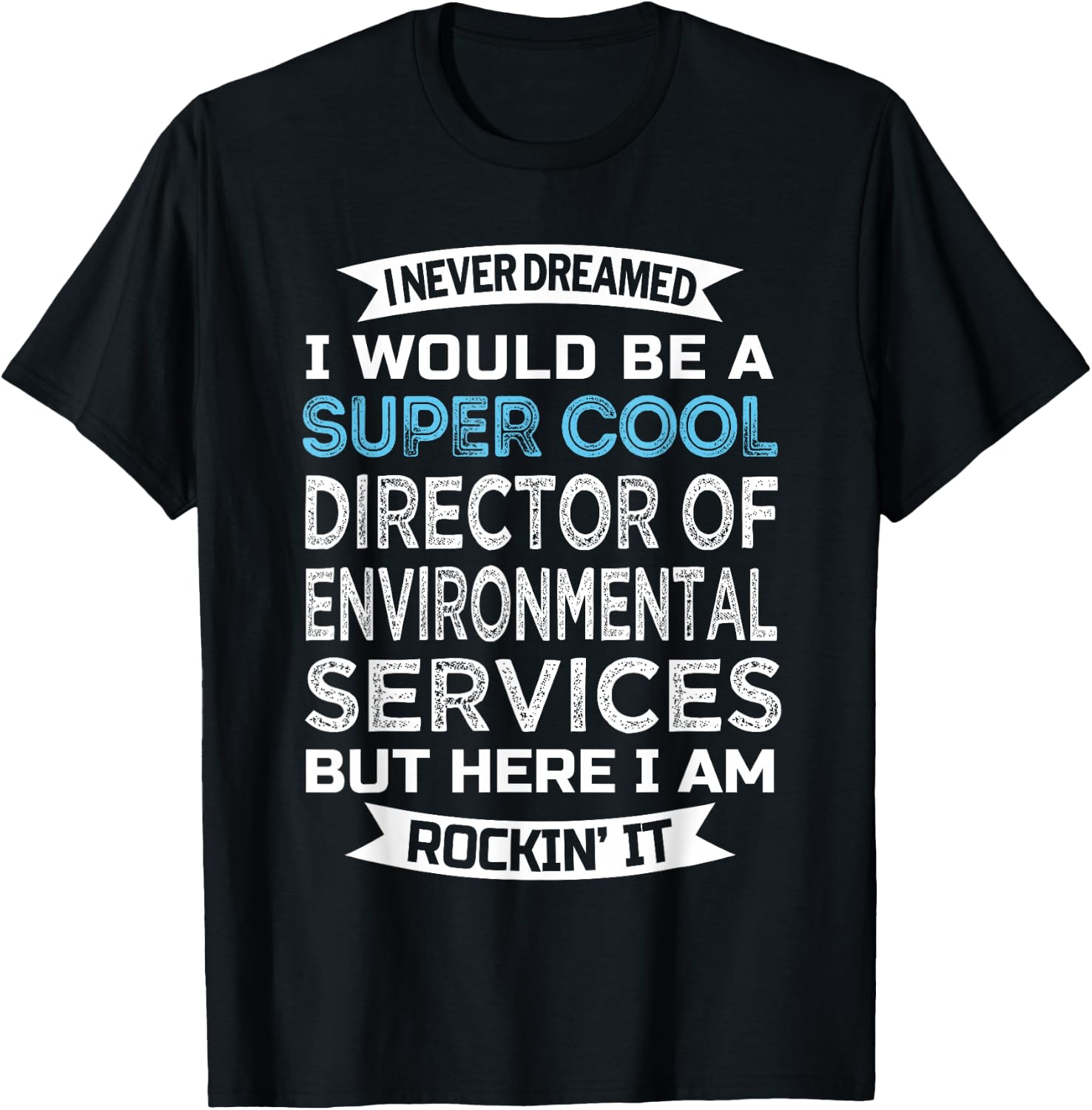 Director of Environmental Services Funny EVS Director T-Shirt - T-Shirt | Black