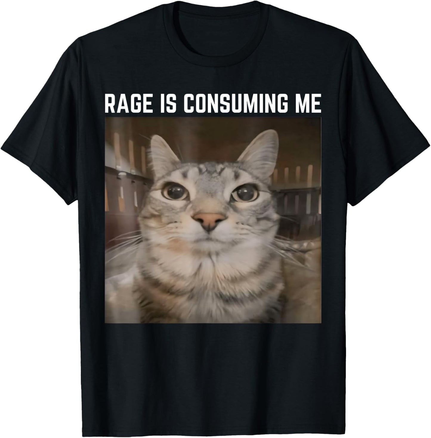 Rage is Consuming Me Meme Cat Meme Oddly Specific Memes Joke T-Shirt - T-Shirt | Black