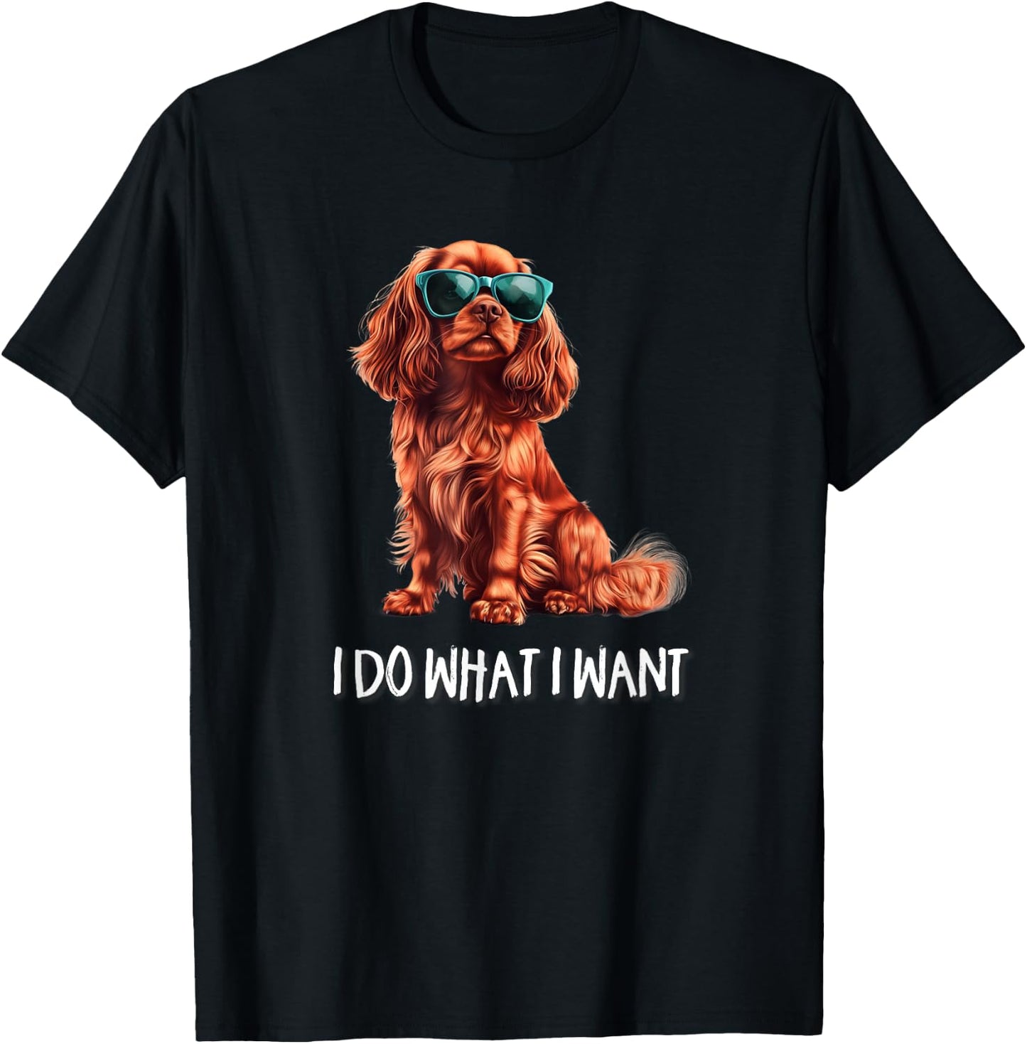 Funny What I Want Ruby Cavalier King Charles Spaniel Lover T-Shirt - T-Shirt | Black
