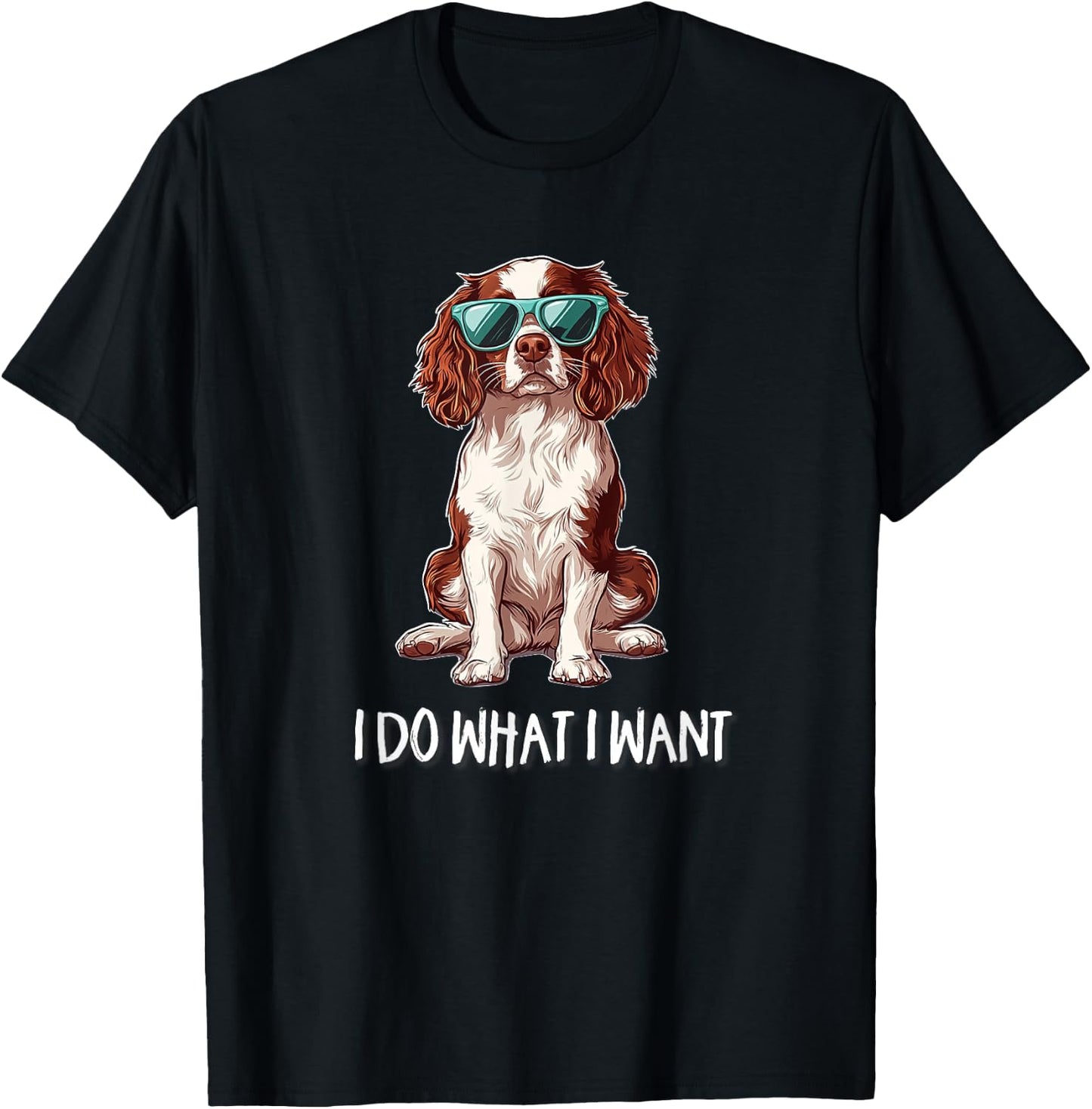 Funny Do What I Want Brittany Spaniel Lover T-Shirt - T-Shirt | Black