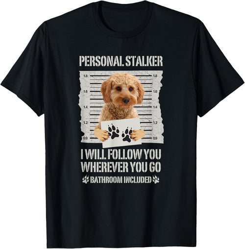 Personal Stalker Cockapoo