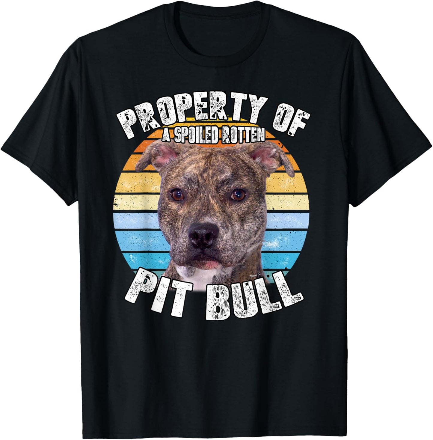 Pitbull Pit Bull Pittie Brindle Owner Lover Property Of T-Shirt - T-Shirt | Black