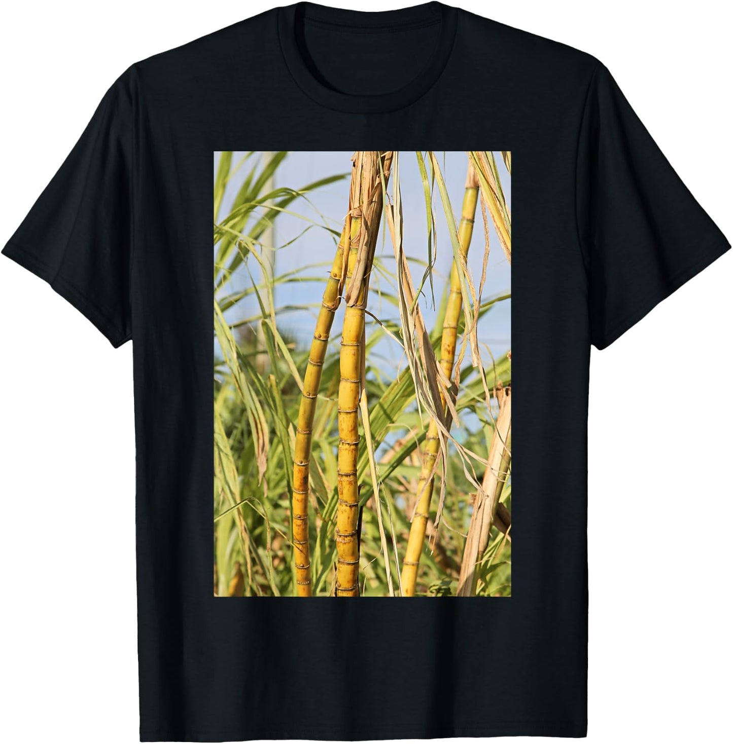 South Florida Sugar Cane T-Shirt - T-Shirt | Black