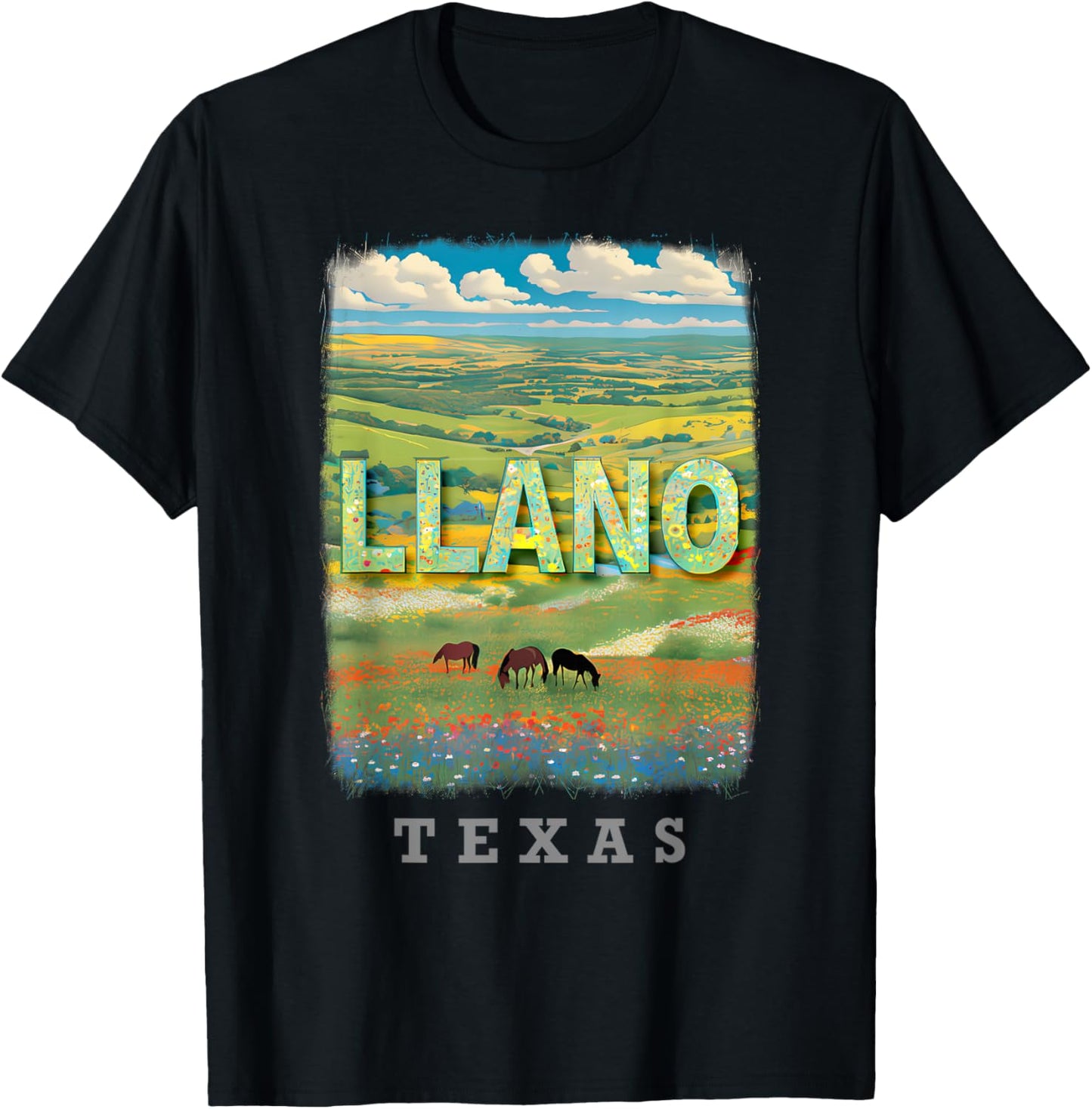 Llano Texas TX Hill Country Charm SD869 T-Shirt - T-Shirt | Black