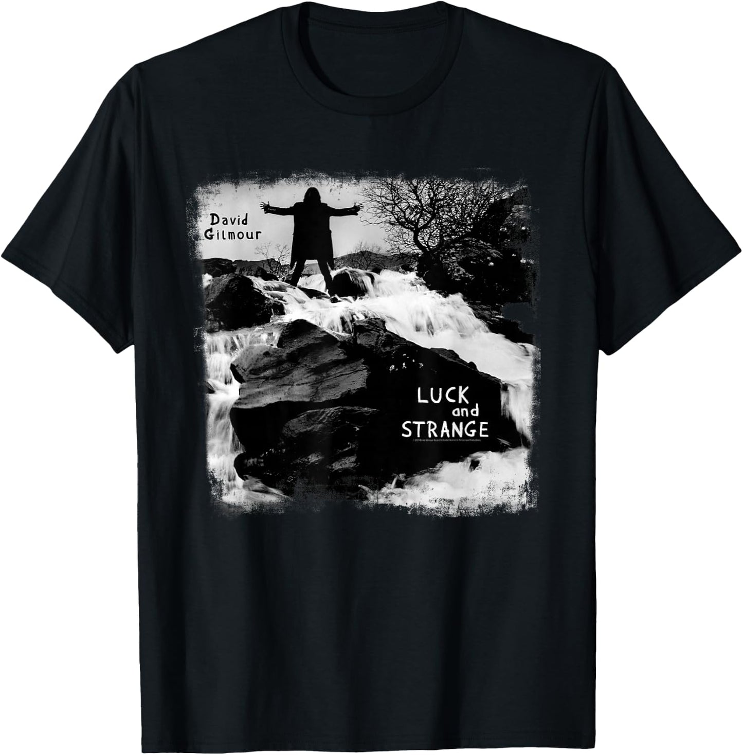David Gilmour Luck and Strange T-Shirt - T-Shirt | Black